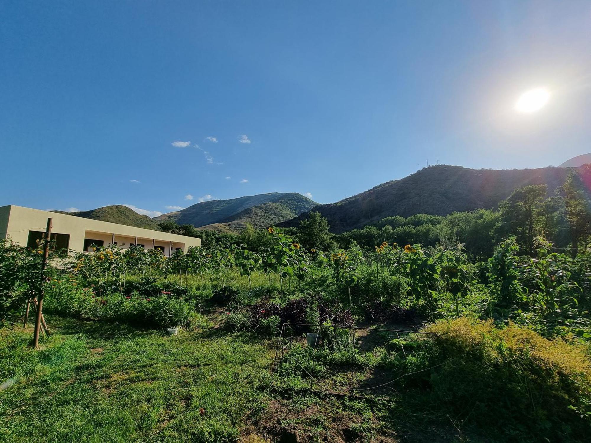 Bee House Hotel Pia Ngoại thất bức ảnh