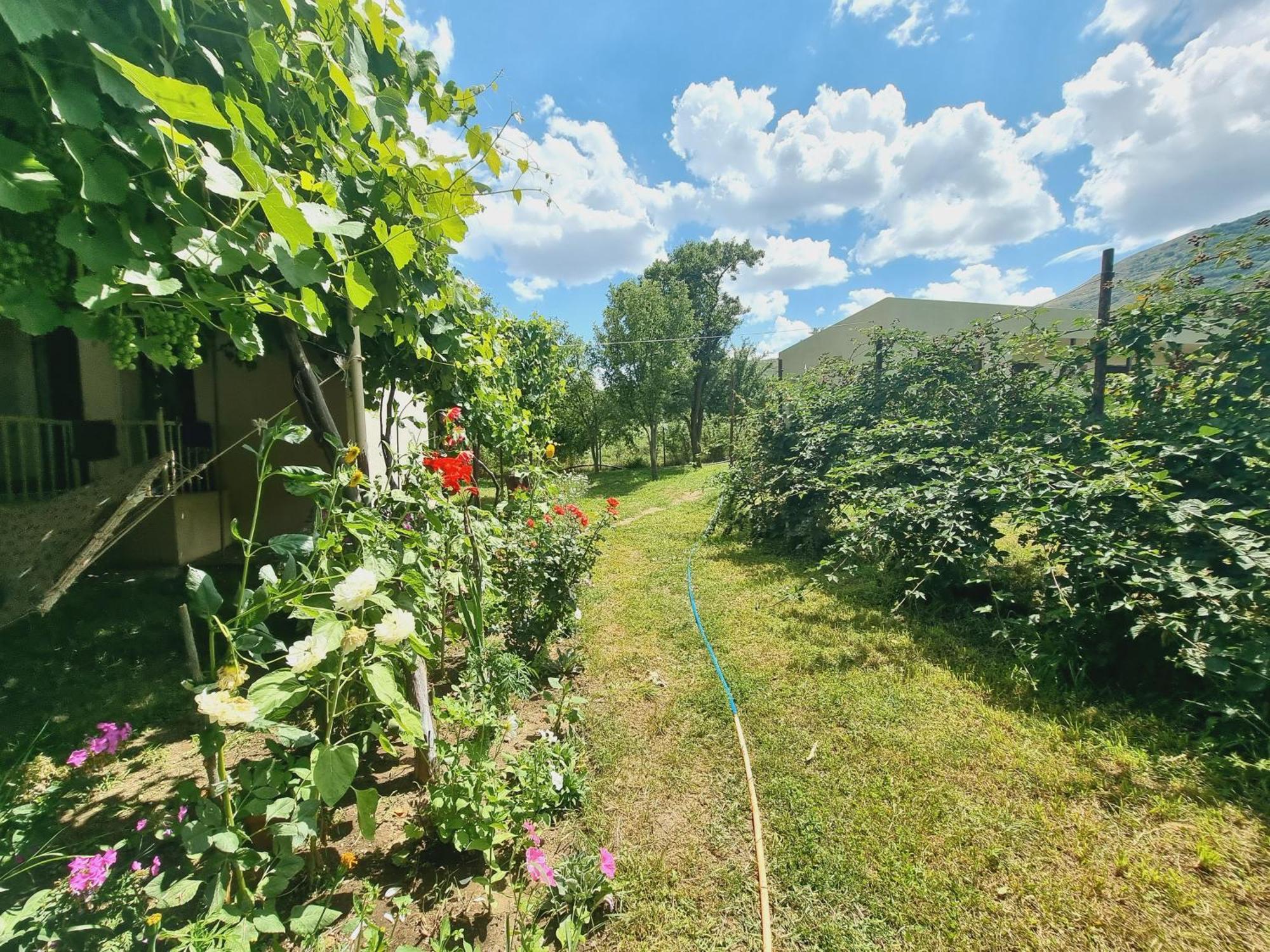 Bee House Hotel Pia Ngoại thất bức ảnh