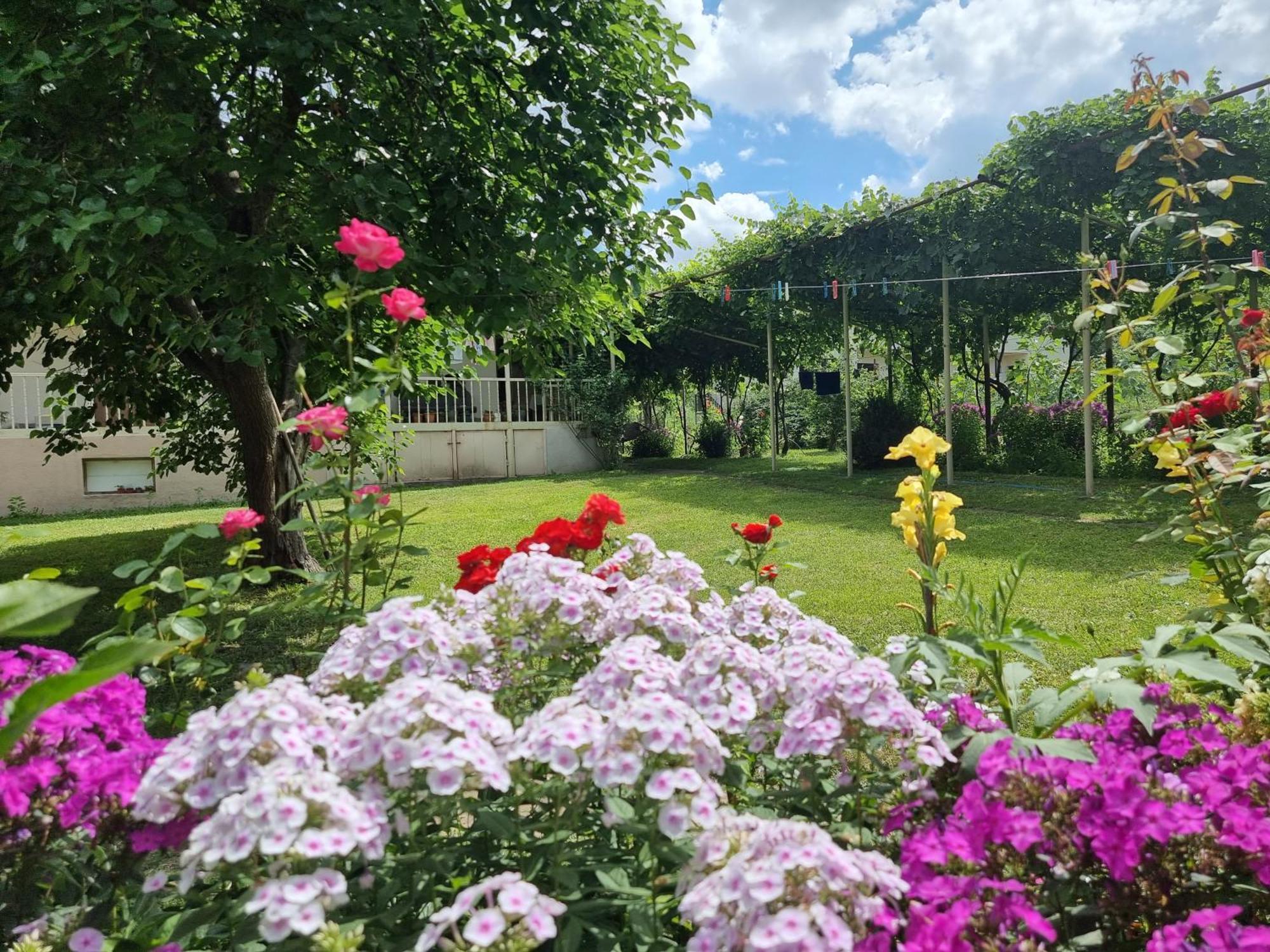Bee House Hotel Pia Ngoại thất bức ảnh