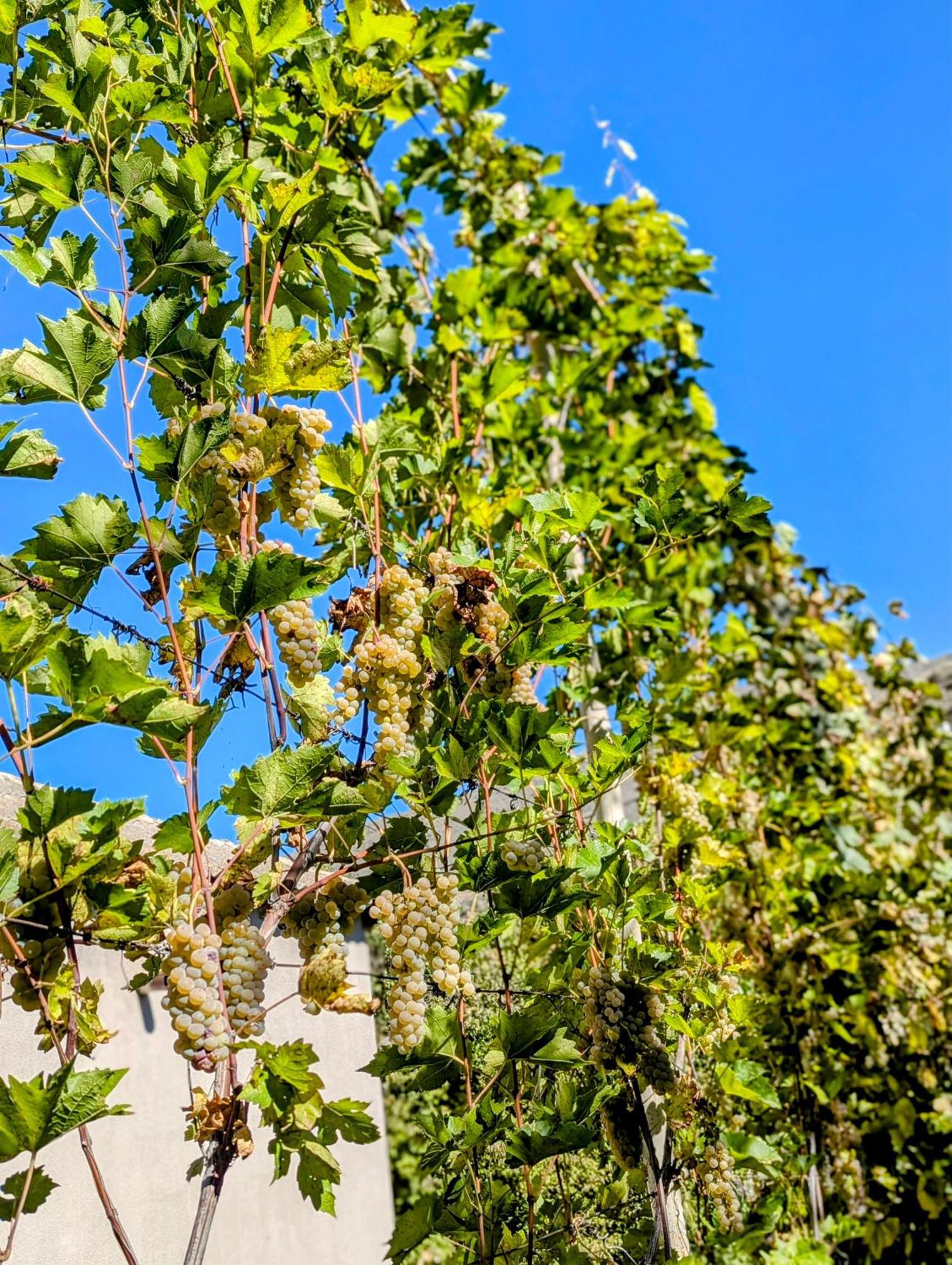 Bee House Hotel Pia Ngoại thất bức ảnh