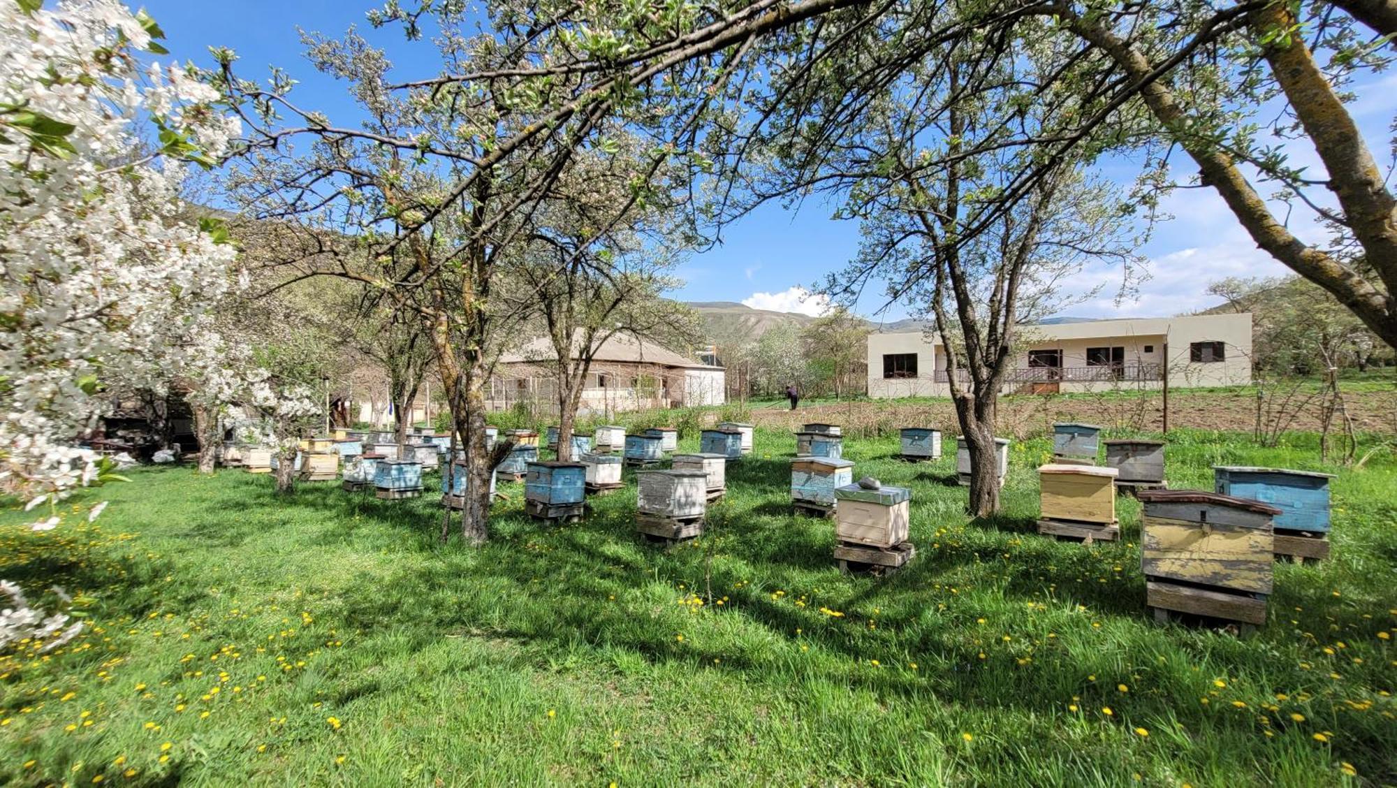 Bee House Hotel Pia Ngoại thất bức ảnh